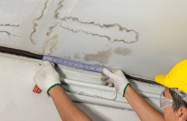 Reliable Mold Remediation contractor in Marty, SD by Water Damage Irwin